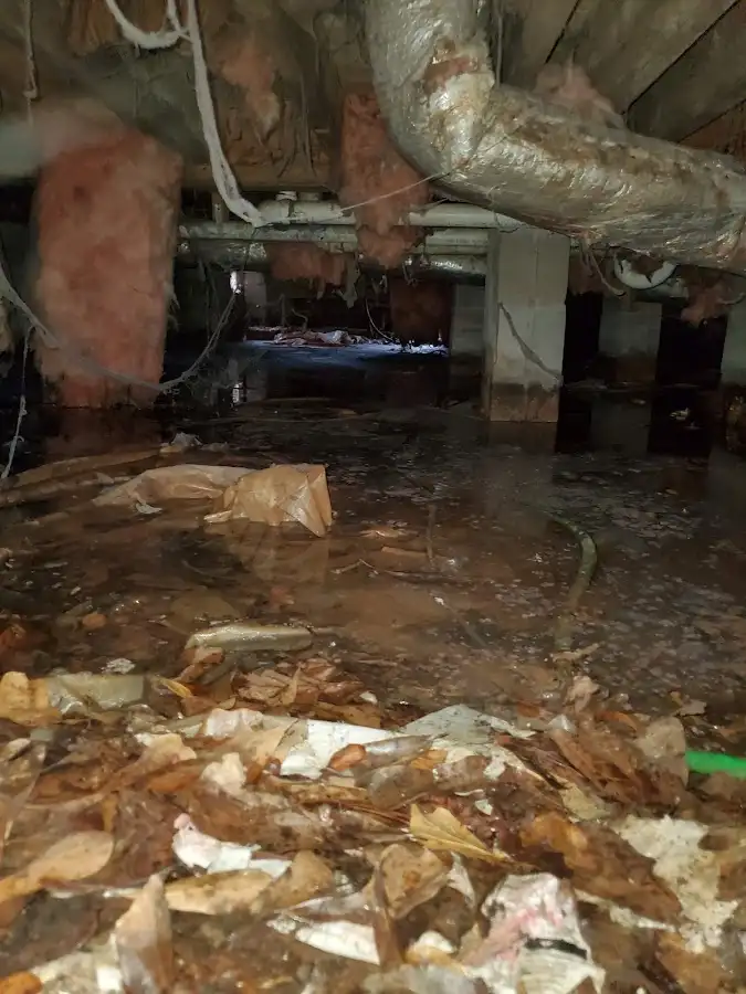 Crawl space flood assessment for Leak Detection & Repair in Salinas